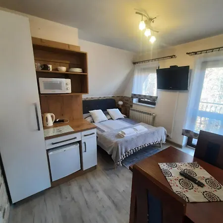 Homestay U Samkow Zakopane